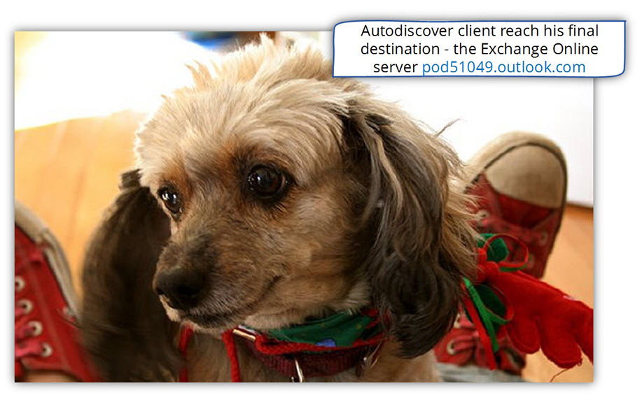 Autodiscover client reach his final destination - the Exchange Online server pod51049.outlook.com