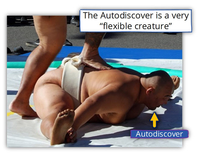 Autodiscover is a Flexible creature