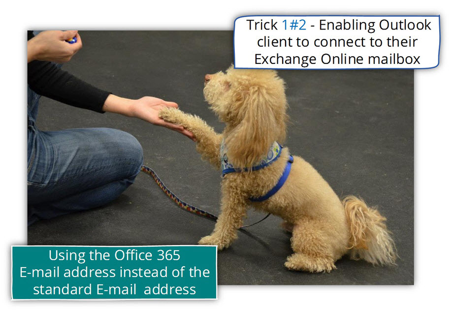 Option 2 - Enabling users to connect Exchange Online mailbox by using the onmicrosoft E-mail address