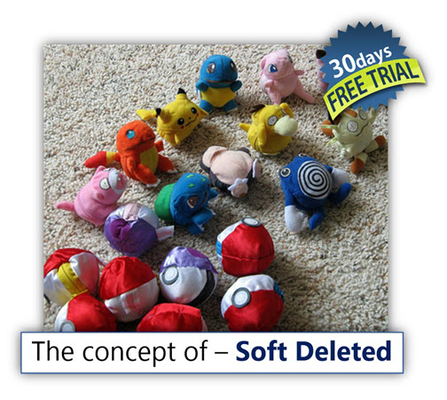 The concept of – Soft Deleted