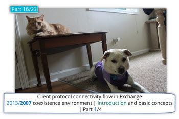 Client protocol connectivity flow in Exchange 2013/2007 coexistence environment | Introduction and basic concepts| 1/4