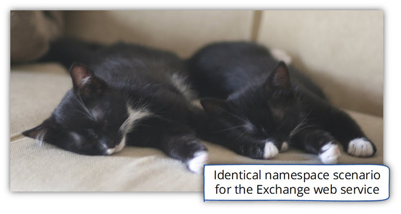 Identical namespace scenario Exchange web service