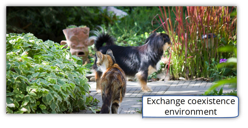 Exchange coexistence environment