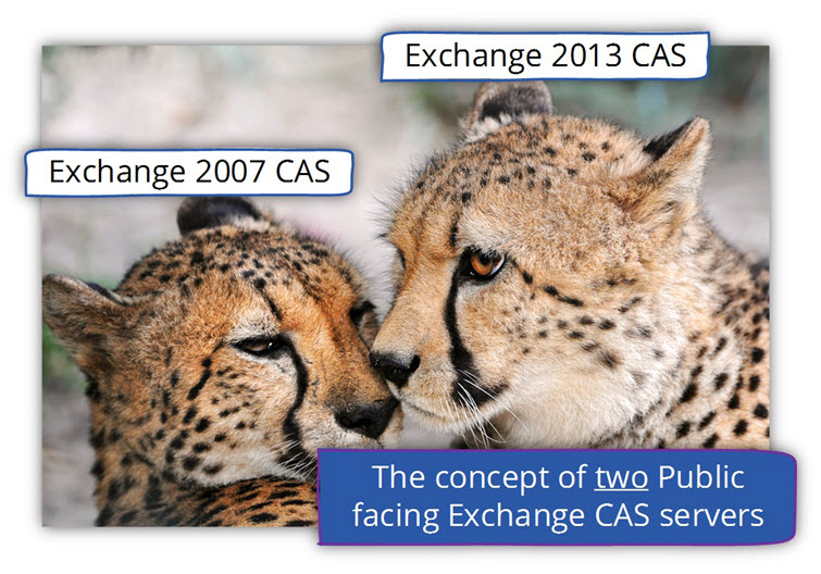 The concept of two Public facing Exchange CAS server