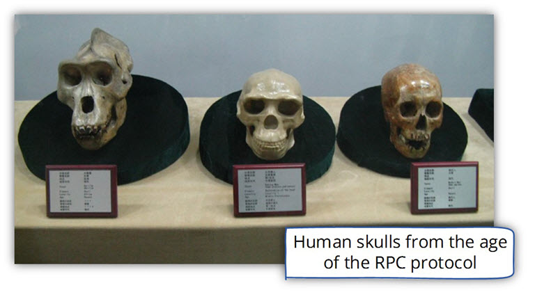 Human skulls from the age of the RPC protocol