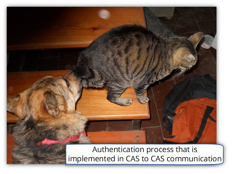 Authentication process that is implemented in CAS to CAS communication