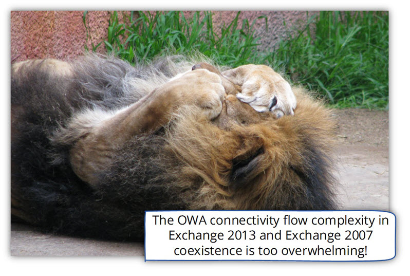 The OWA connectivity flow complexity is too overwhelming
