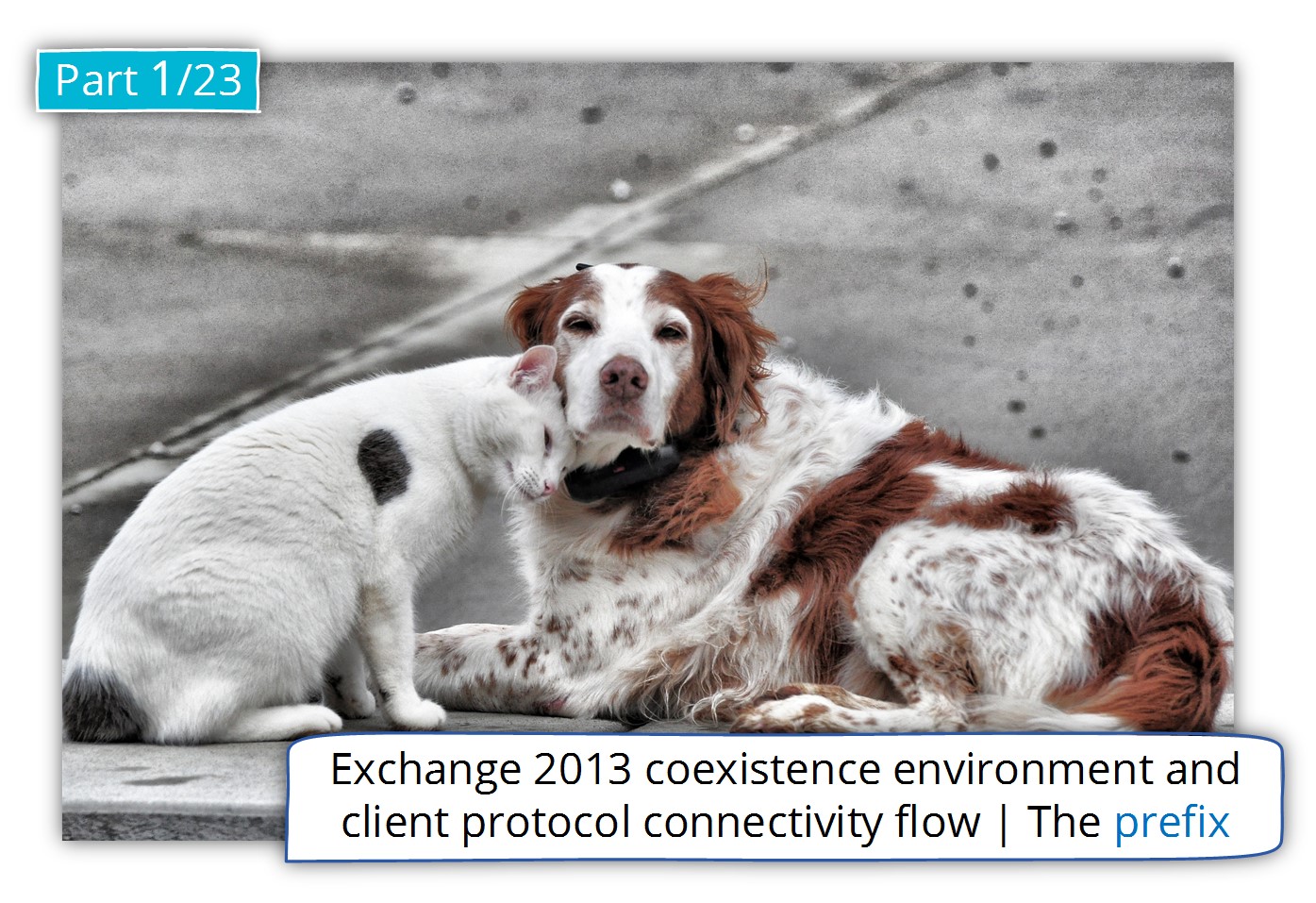 Exchange 2013 coexistence environment and client protocol connectivity flow | The prefix 