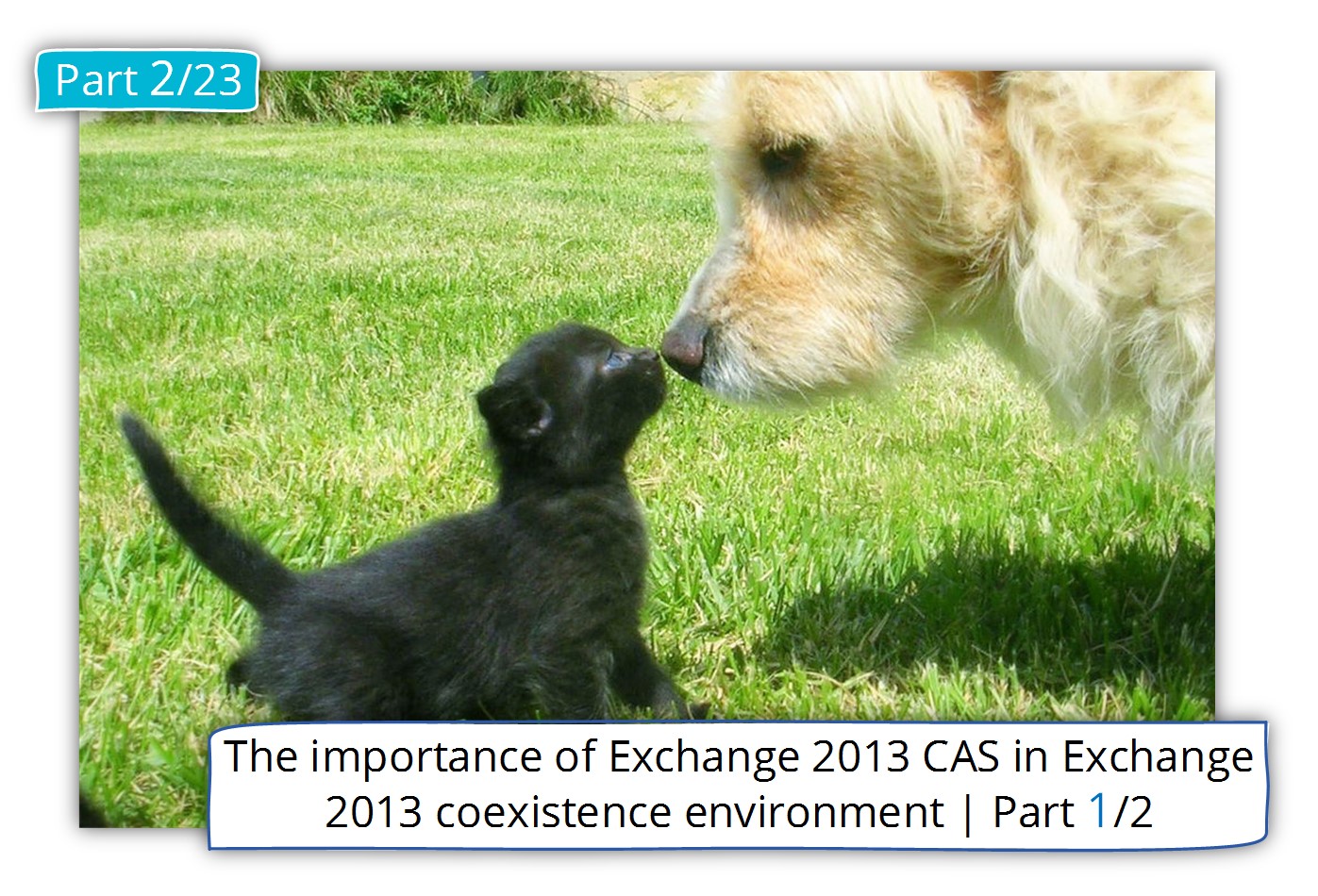The importance of Exchange 2013 CAS in Exchange 2013 coexistence environment | Part 1/2