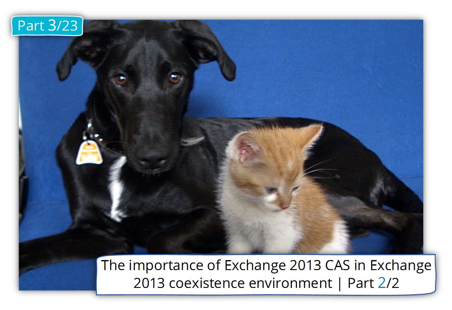 The importance of Exchange 2013 CAS in Exchange 2013 coexistence environment | Part 2/2