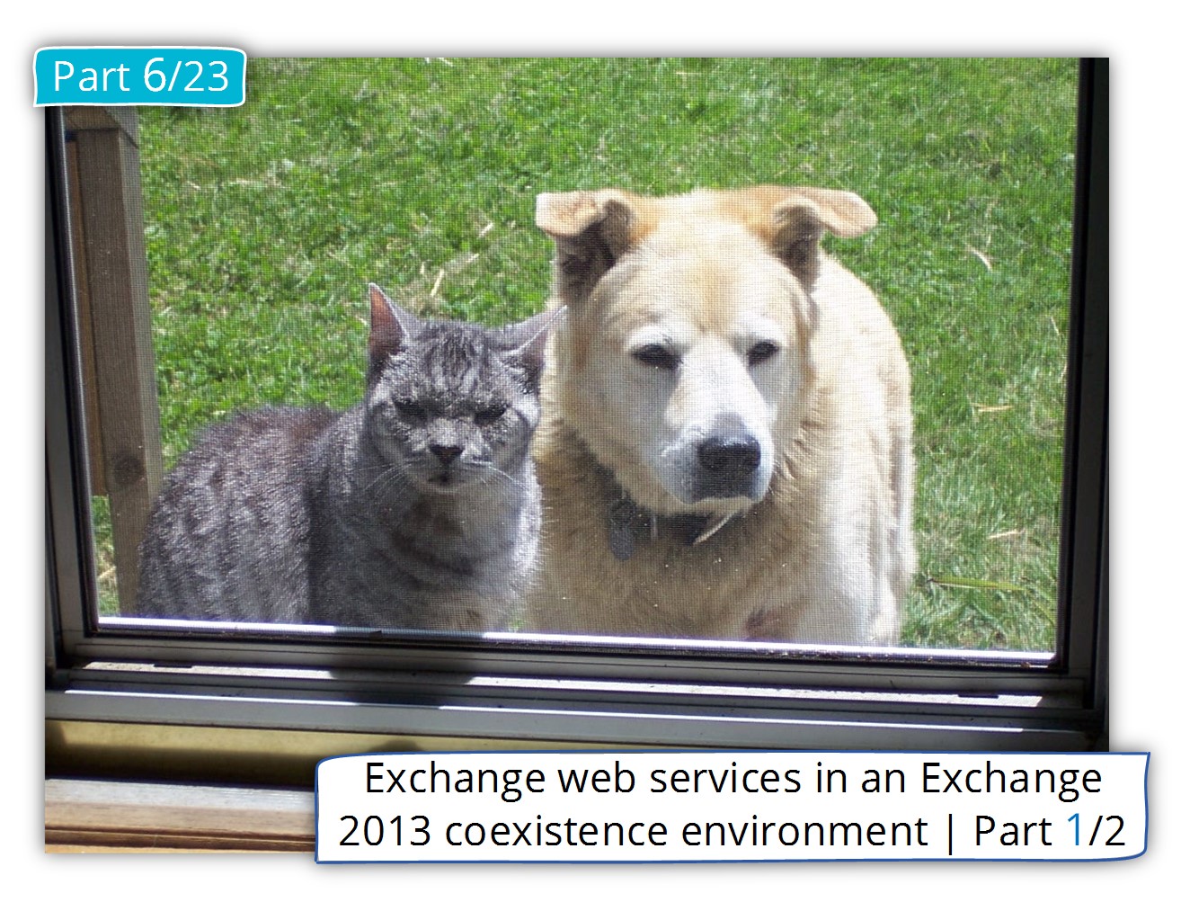 Exchange web services in an Exchange 2013 coexistence environment | Part 1/2