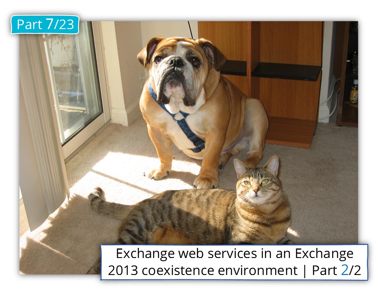 Exchange web services in an Exchange 2013 coexistence environment | Part 2/2