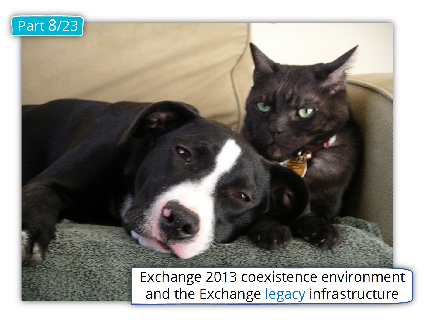 Exchange 2013 coexistence environment and the Exchange legacy infrastructure