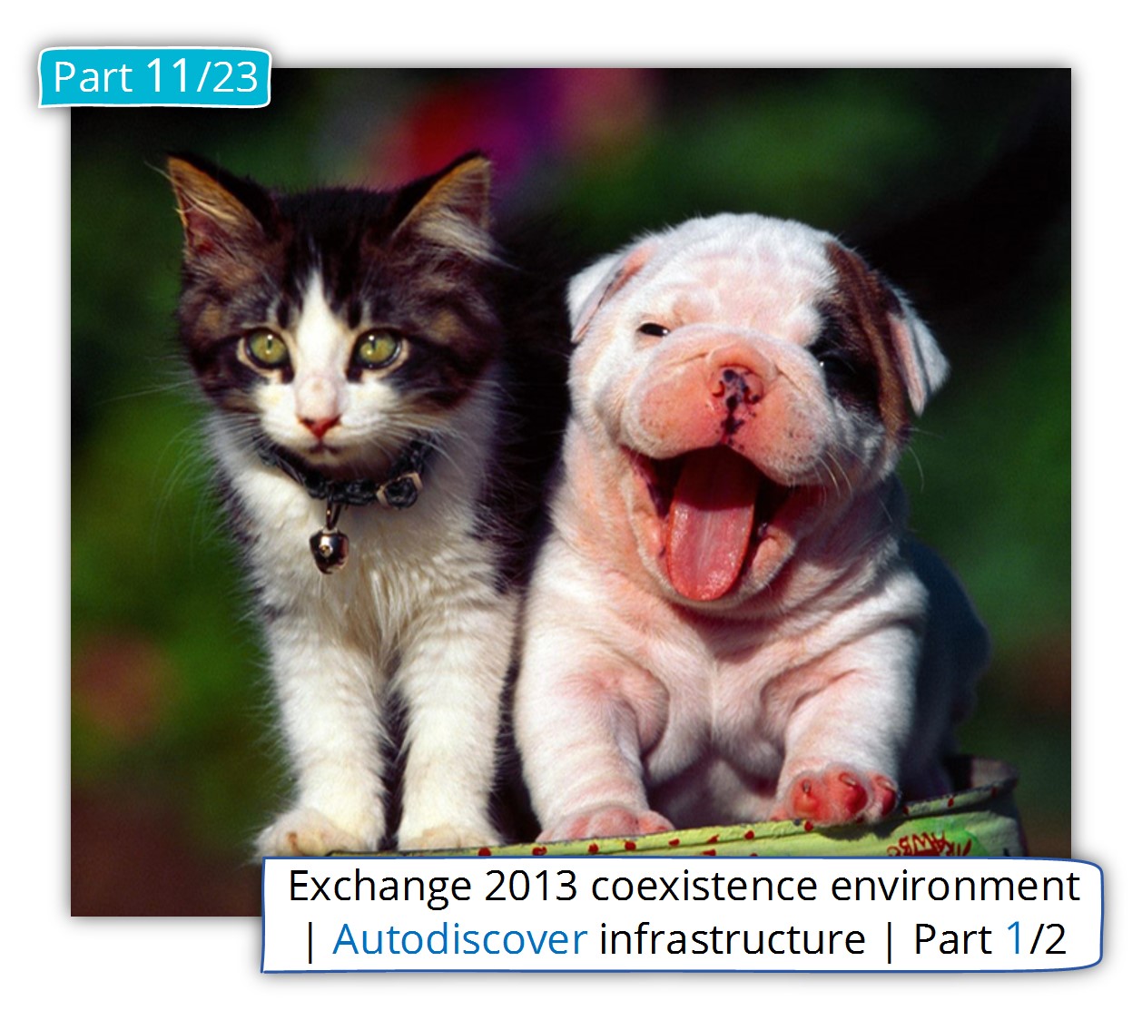 Exchange 2013 coexistence environment | Autodiscover infrastructure | Part 1/2