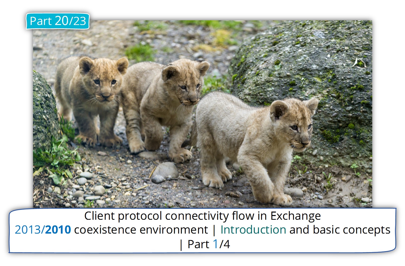 Client protocol connectivity flow in Exchange 2013/2010 coexistence environment | Introduction and basic concepts| 1/4 