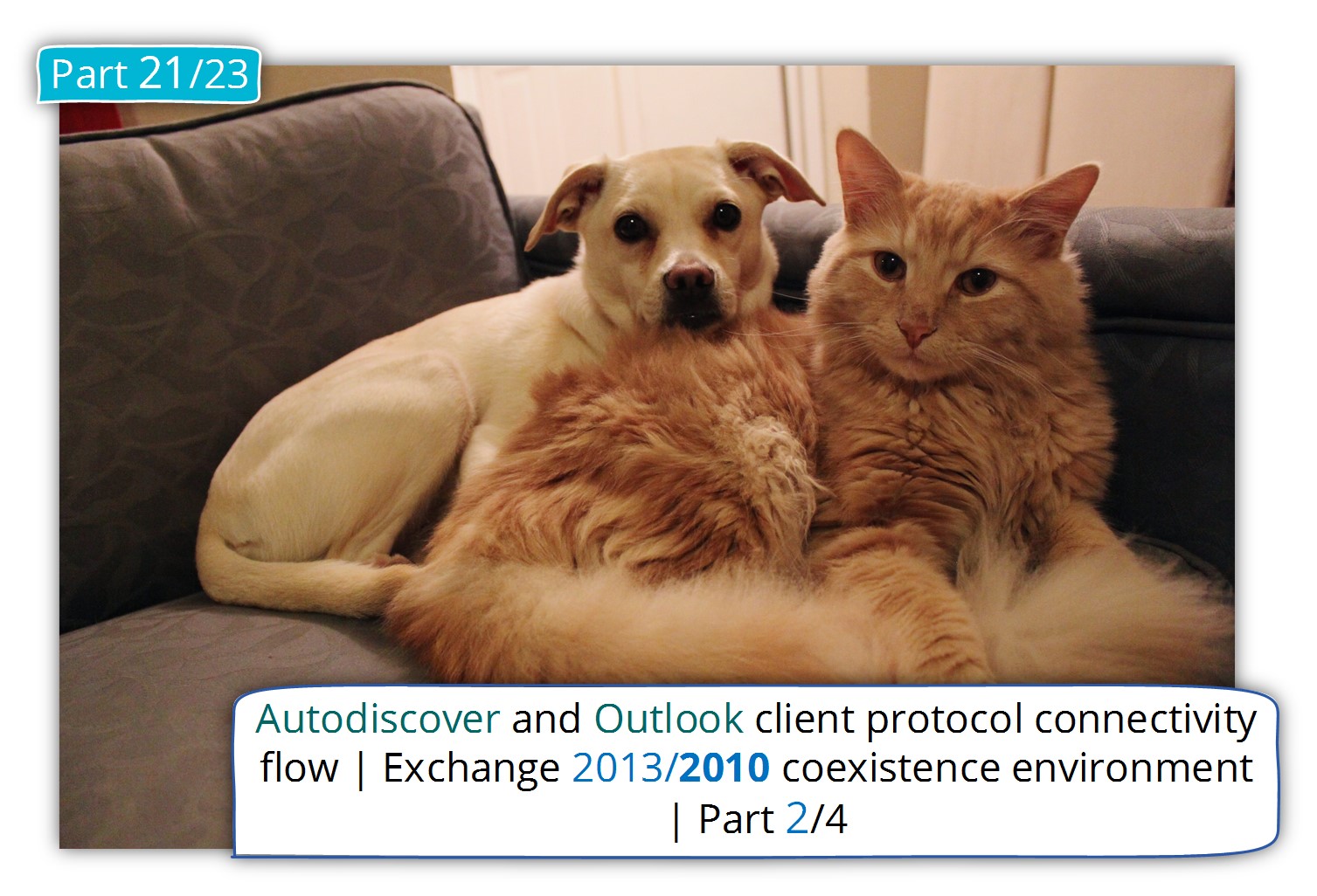 Autodiscover and Outlook client protocol connectivity flow in Exchange 2013/2010 coexistence environment | 2/4
