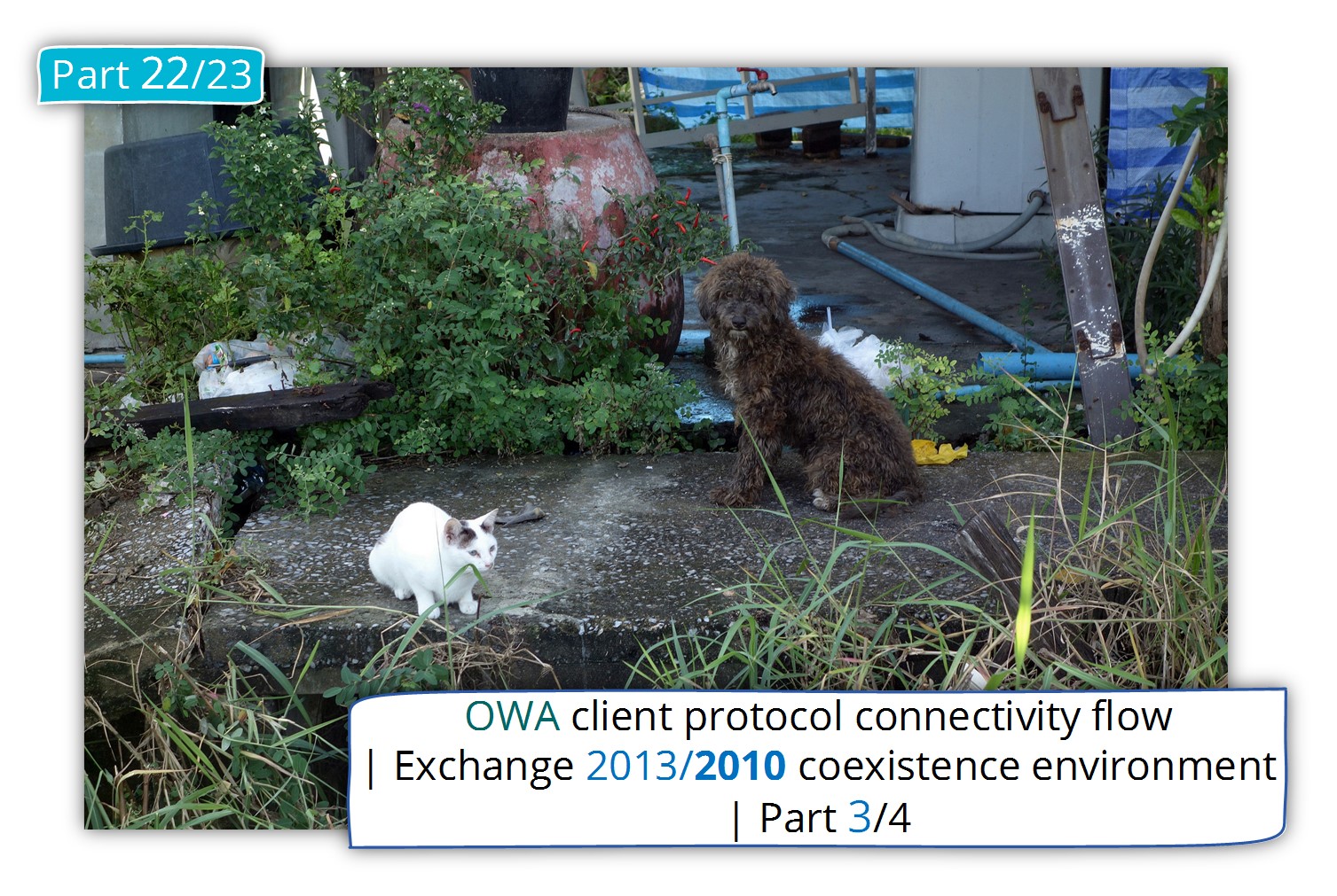 OWA client protocol connectivity flow in Exchange 2013/2010 coexistence environment | 3/4