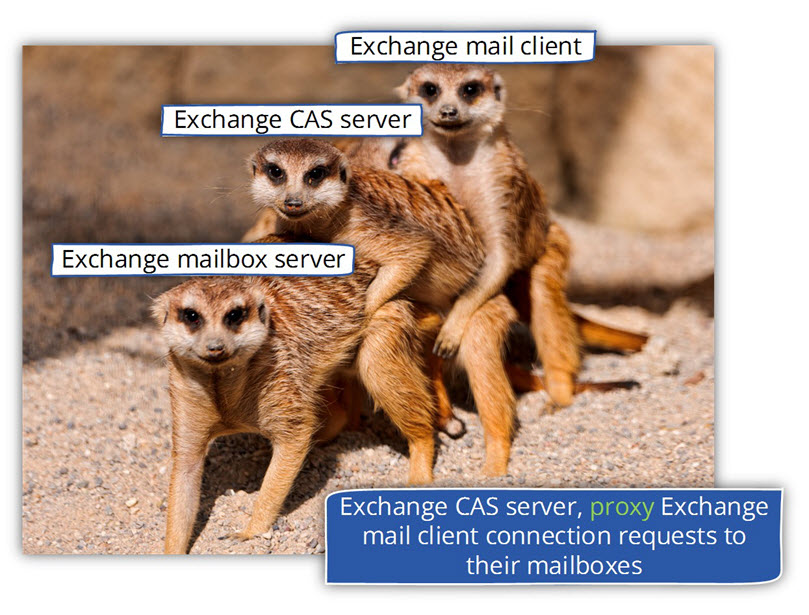 Exchange CAS server, proxy Exchange mail client connection requests to their mailboxes