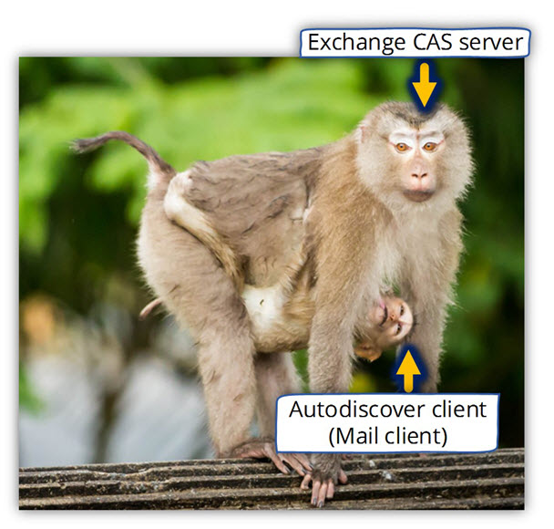 Outlook and the Exchange CAS server
