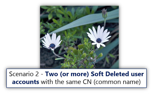 Scenario 2 - Two (or more) Soft Deleted user accounts with the same CNcommon name