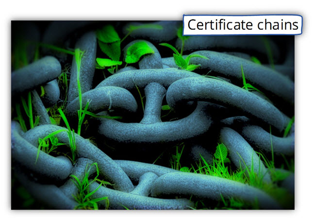 Certificate chains