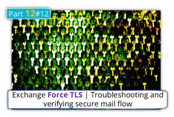 Exchange Force TLS | Troubleshooting and verifying secure mail flow | Part 12#12