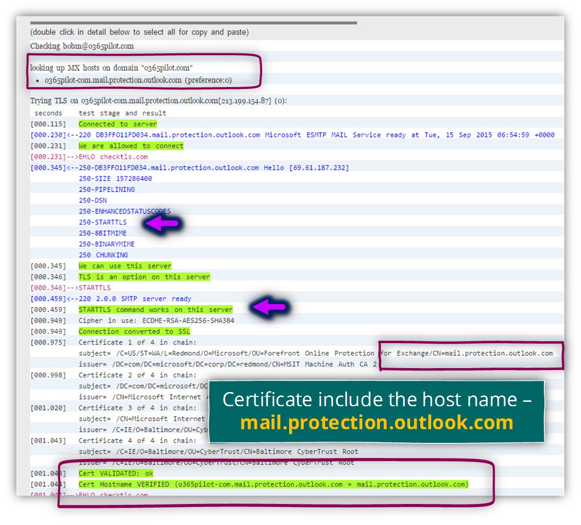 Verify the destination mail server certificate - Force TLS -03