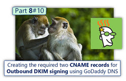 Creating the required two CNAME required for Outbound DKIM signing using GoDaddy DNS - Part 8-10