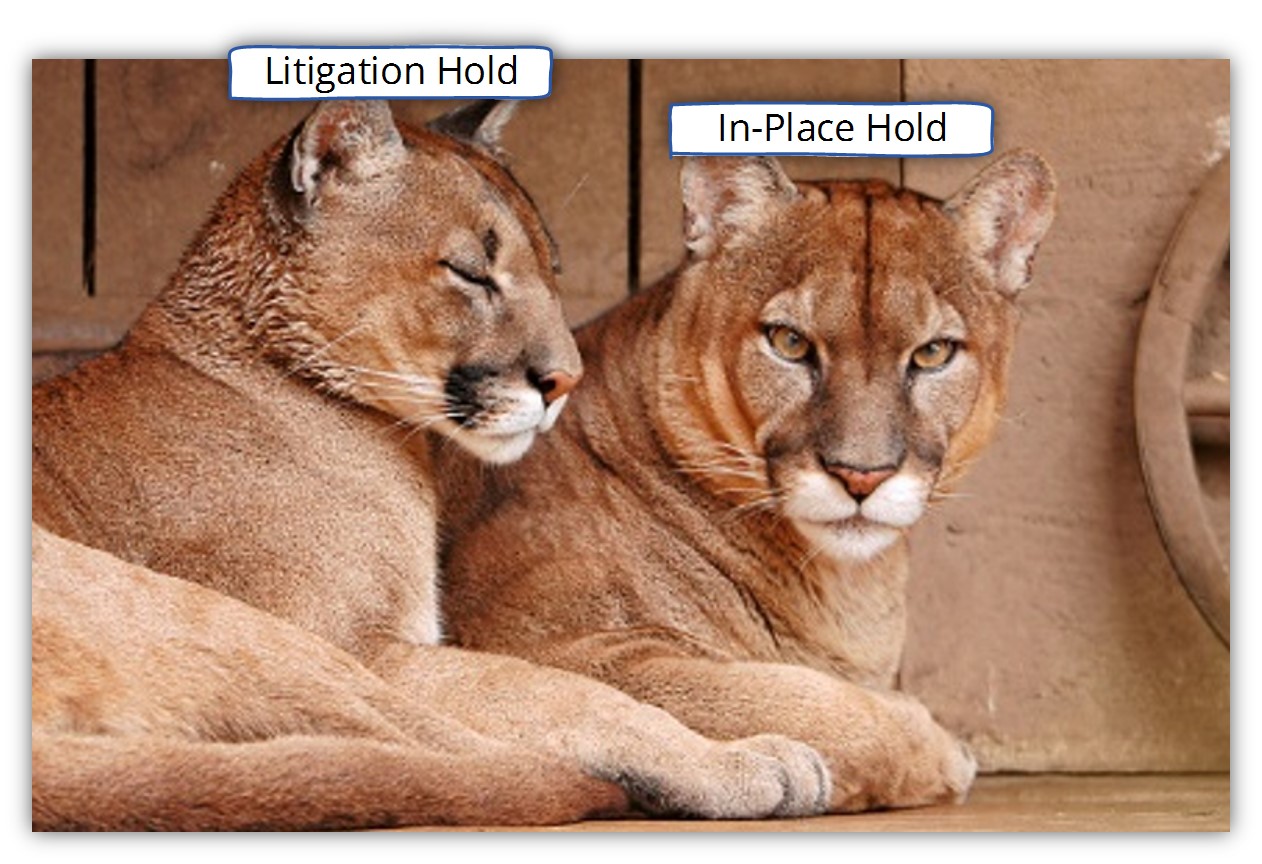 Litigation Hold and In-Place Hold