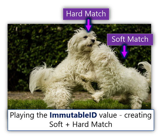 Playing the ImmutableID value - creating Soft and Hard match