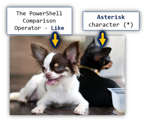 The PowerShell Comparison Operator - Like and Asterisk character