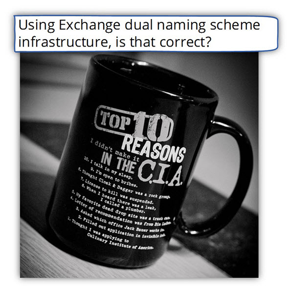 What are the reasons for using ONE public naming scheme for Exchange Infrastructure