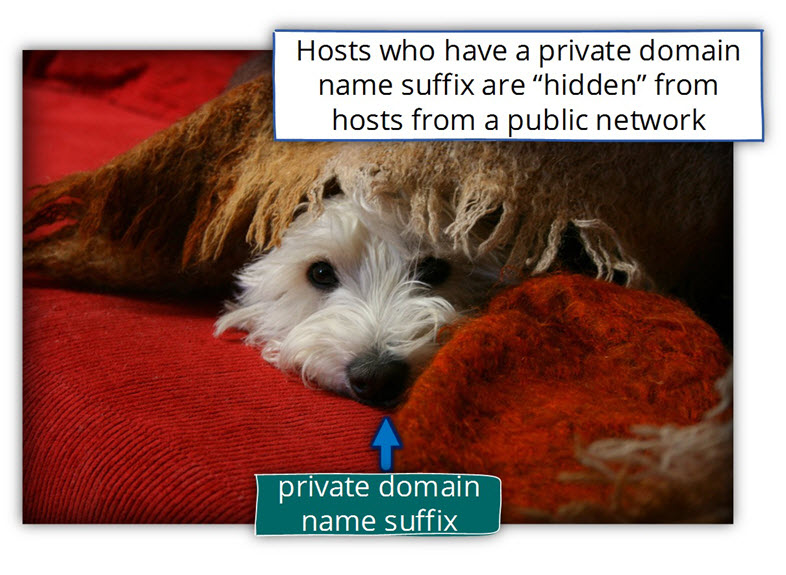private domain name suffix-01