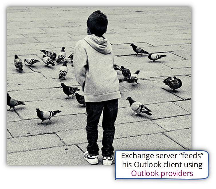 Exchange server feeds his Outlook client using Outlook providers