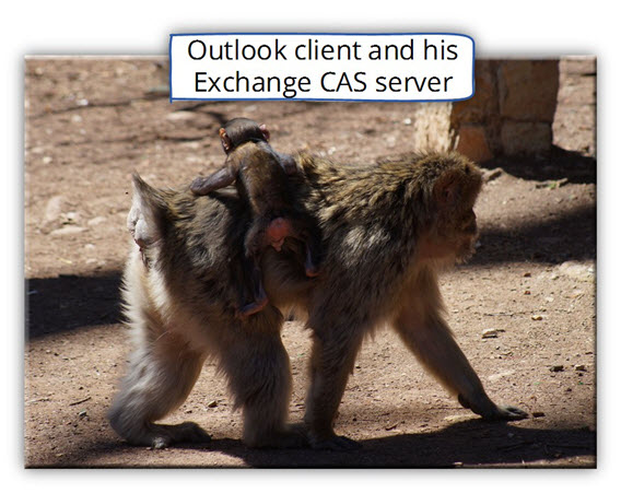 Outlook client and his Exchange CAS server