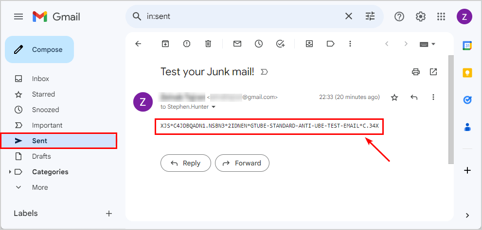 Send simulate spam mail